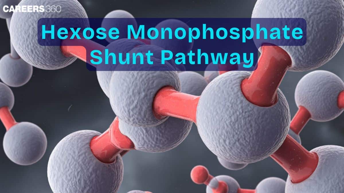 hexose monophosphate shunt pathway: Steps, Diagram, Uses